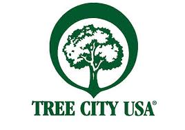 Tree City USA image